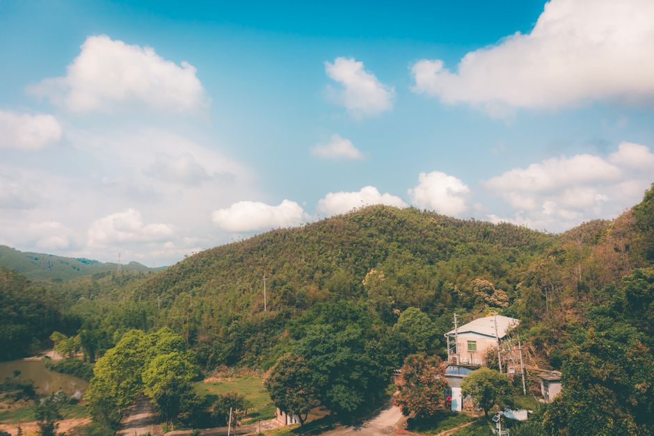 龙女湖:湿地明珠的生态之旅