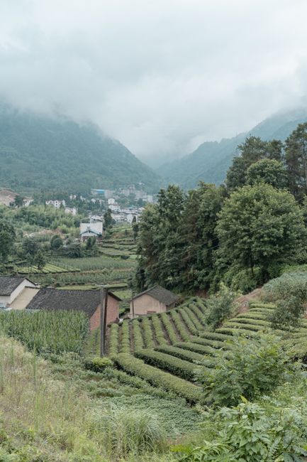 岳池农家:体验川东乡愁
