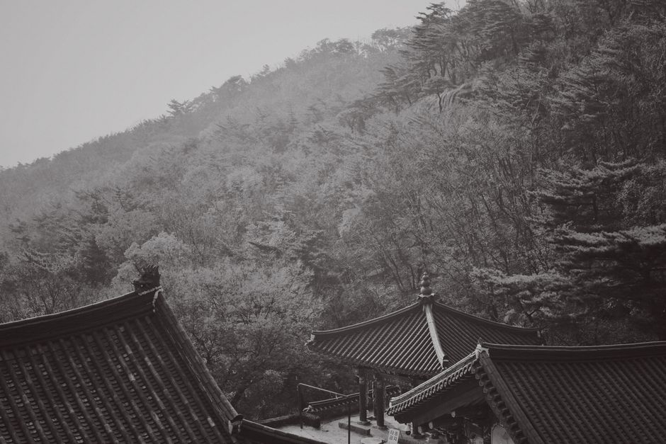 青城山:道教圣地的寻幽问道之旅