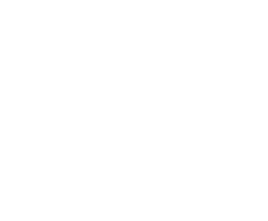 language